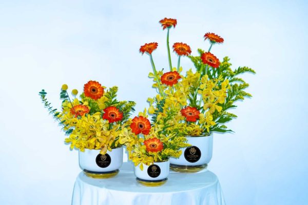 Gardenia Sunshine Set
