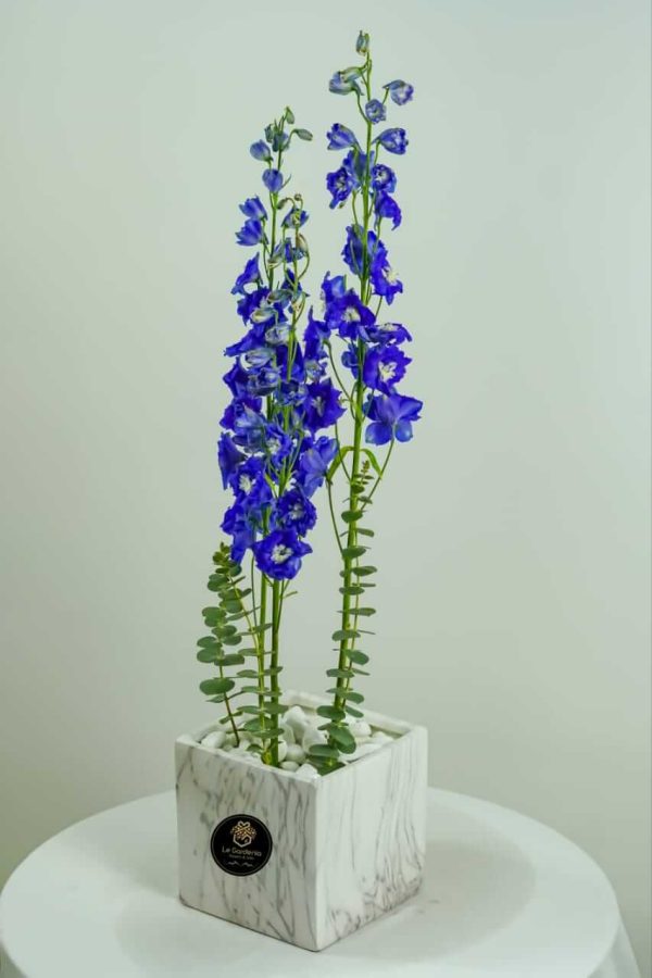 Simplicity Blue