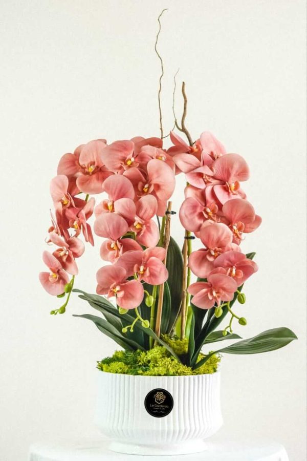 Orchid Gardenia 2