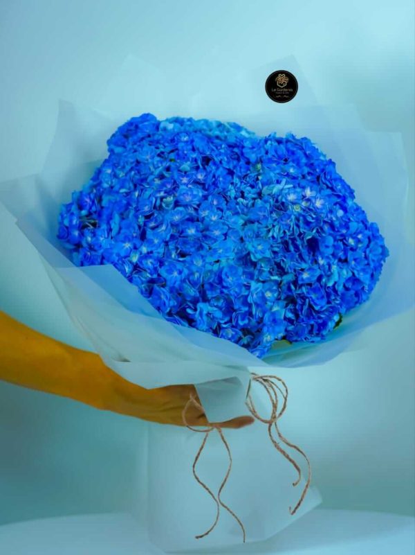 Gorgeous Blue
